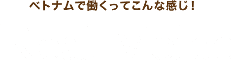 ベトナムで働くってこんな感じ！　Real Voice