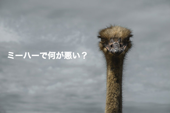 ミーハーであればあるほどヒットが生まれる！ 0.5秒先の情報を発信せよのイメージ画像