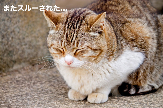 目の前で話をしているのにスルーされる……　今から使える“相手を前のめりにする”話し方のイメージ画像