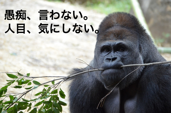 スキルは後からついてくる！　失敗続きにストップをかける方法のイメージ画像