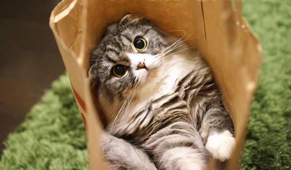 いつもテンパッてばかりで困った！　余裕を手に入れて、パフォーマンスをアップしようのイメージ画像1