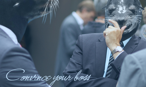 あなたは上司を説得できますか？ 最良の結果を生み出す提案術のイメージ画像
