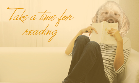 夏休みには心が動く一冊を！ 本を体験に変える読書術のイメージ画像