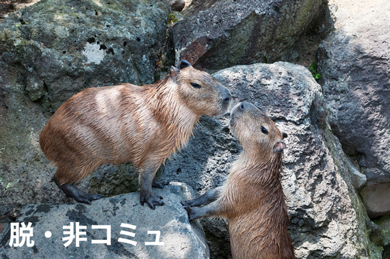 非コミュから抜け出したい！ すぐに効果がでる3つの対人スキルのイメージ画像