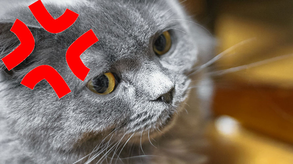 不満や怒りはアイデアマンへの近道!?のイメージ画像