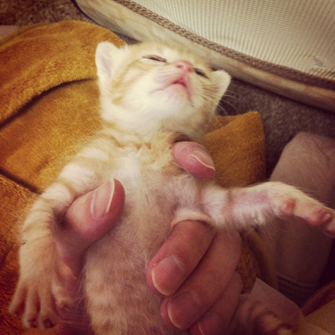 Vol 3 新人は身を委ねる時はとことん委ねる やたのぼ 世渡り術