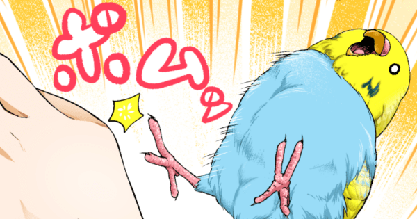 初丸うげべそ第62話サムネ