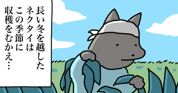 【4コマ漫画byうかうか】第43話 収穫。｜お疲れ！ はたらき犬