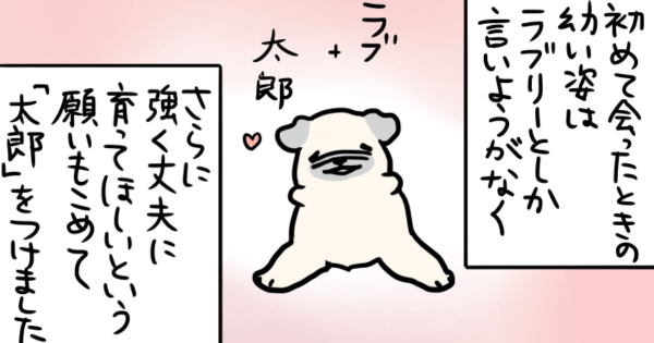 よしこ第30話サムネ